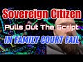 Sovereign Citizen Tries The Script in Family Court Fail #sovereign #trending #fail