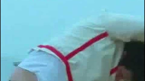 How To Escape From A Straitjacket The David Zanthor Way