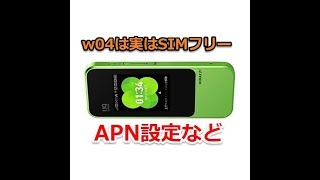 【wimax2＋番外編】w04をSIMフリーとして使う為のAPN設定の方法など