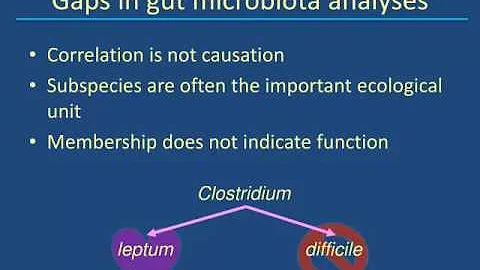 Dr. Heather Allen - The Swine Gut Microbiota: Stat...