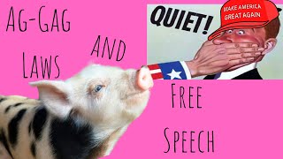 ...a REAL Free Speech Issue.