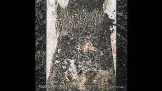 Morgue Tar - Pissing Into the Gaping Necrotic Rectum of Mankind (2025) [Goregrind] Full-Length LP