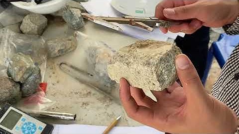 Point Load Test (PLT)