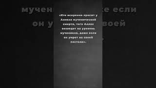 Искренность, которая возвышает.  #хадис #Искренность #Намерение