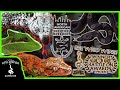 MY FIRST NARBC REPTILE EXPO IN OVER A YEAR! (Arlington, Texas, April 2021)