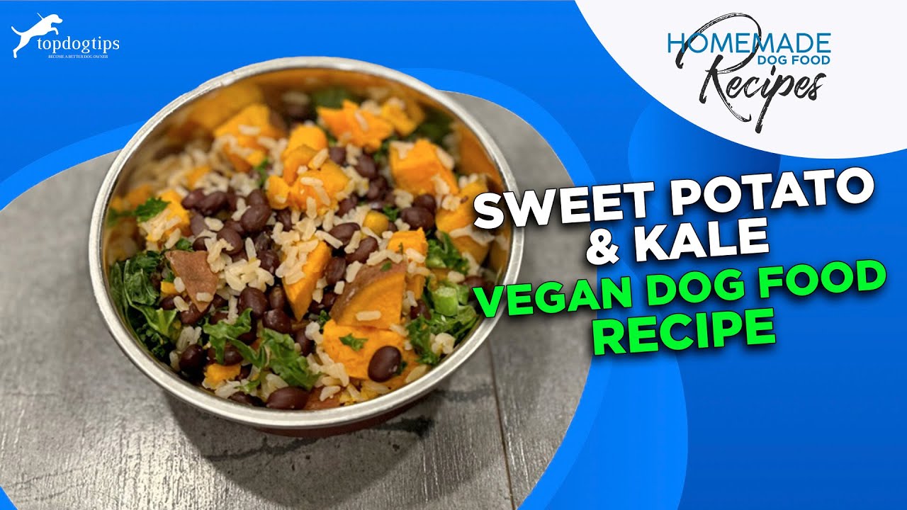 sweet-potato-kale-vegan-dog-food-recipe-youtube