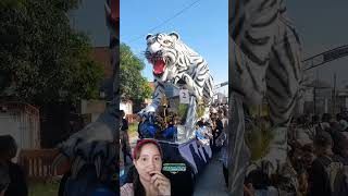 Download Lagu Ogoh-Ogoh Macan Putihh #macanputih #ogohogoh #shorts MP3