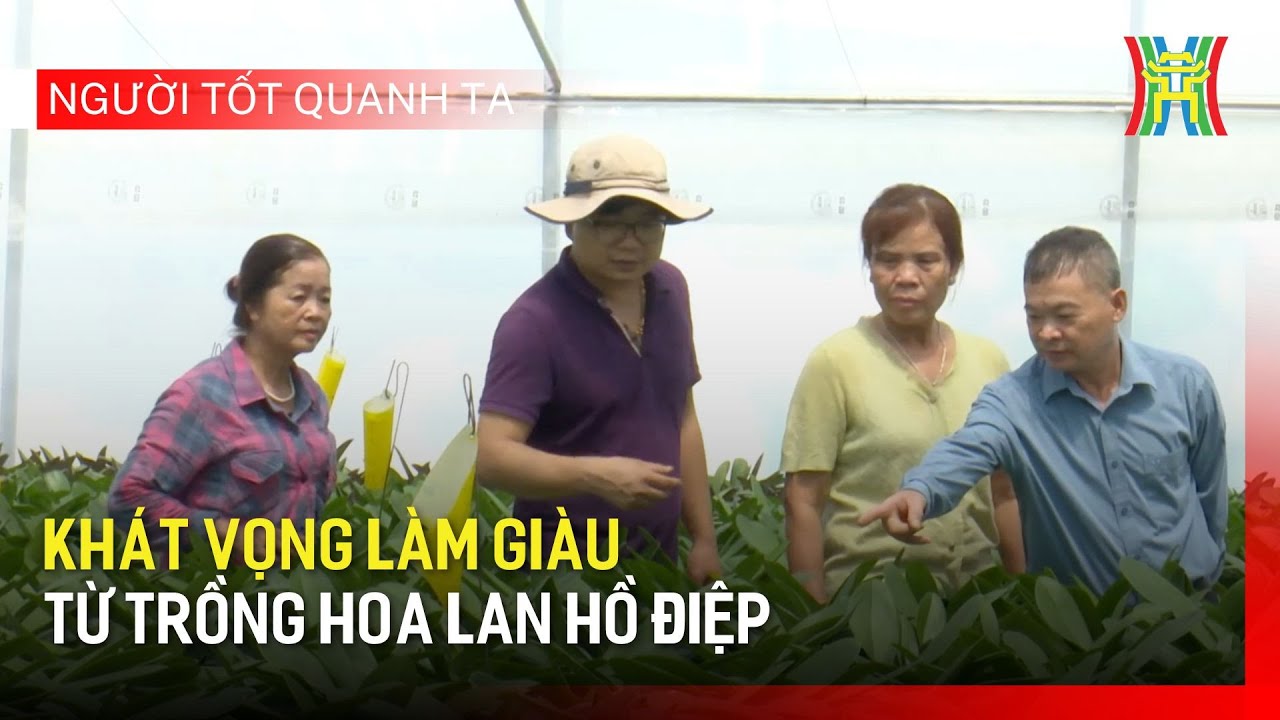 Khát vọng làm giàu từ trồng hoa lan hồ điệp | Người tốt quanh ta