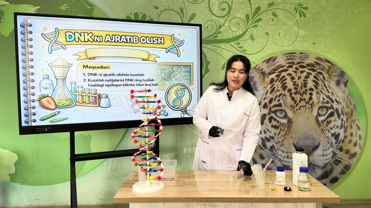DNK ni ajratib olish 