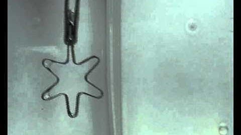 Shape memory alloy "star"