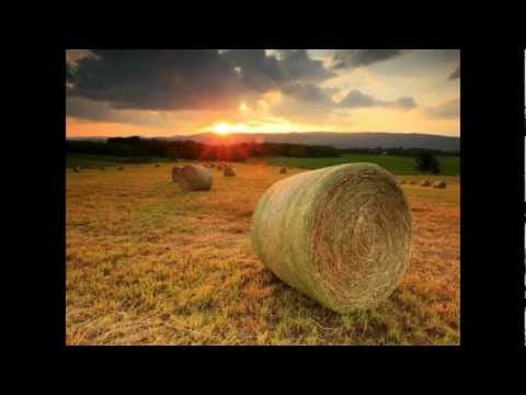 Fields of Gold  -  Eva Cassidy