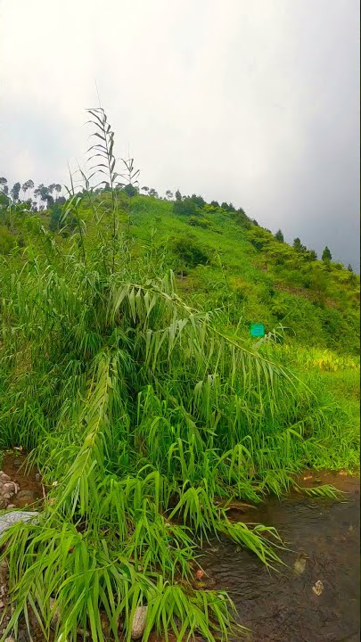 Sungai Jernih di Desa Pegunungan