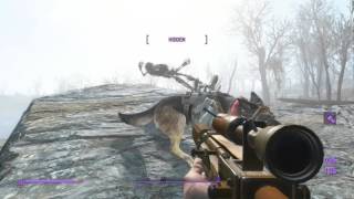 Fallout 4 floating skeleton