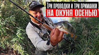 видео: Три простых проводки и приманки на окуня осенью. Как его точно поймать в сентябре, октябре и ноябре? картинка: Три простых проводки и приманки на окуня осенью. Как его точно поймать в сентябре, октябре и ноябре?