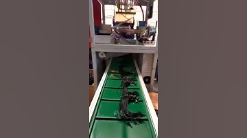 plastic seal string tag injection machine with Full automatic manipulator