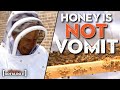 Mike Rowe Goes FIST DEEP into a GIANT BEE HIVE | Somebody&#39;s Gotta Do It