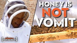 Mike Rowe Goes FIST DEEP into a GIANT BEE HIVE | Somebody's Gotta Do It