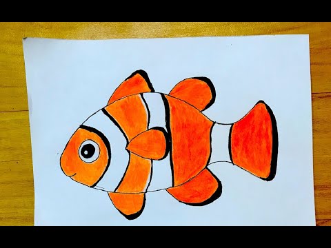 How to draw a clownfish