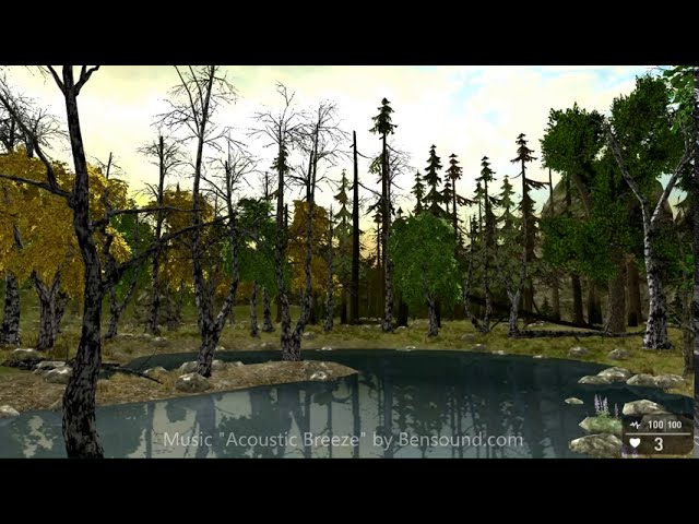 preview_player