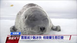 格陵蘭冰架融 雲量 藻類都是禍源 2017 0730 公視全球現場漫遊天下