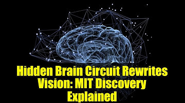 Hidden Brain Circuit Rewrites Vision: MIT Discovery Explained