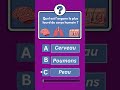 ❤️ Petit 💖 quiz ❤️💖👍🏻