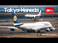 🇯🇵✈️羽田空港 ライブカメラ Haneda Airport Live September 18, 2026 生中継 2026年9月18日 羽田空港ライブのサムネイル