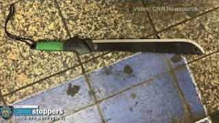 Machete attack at Grand Central Station