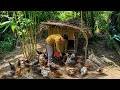 SEN Buys Chickens to Raise and Change His Life | Daily Life