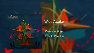 Common Kings - Wide Awake 🌴🌊 chords