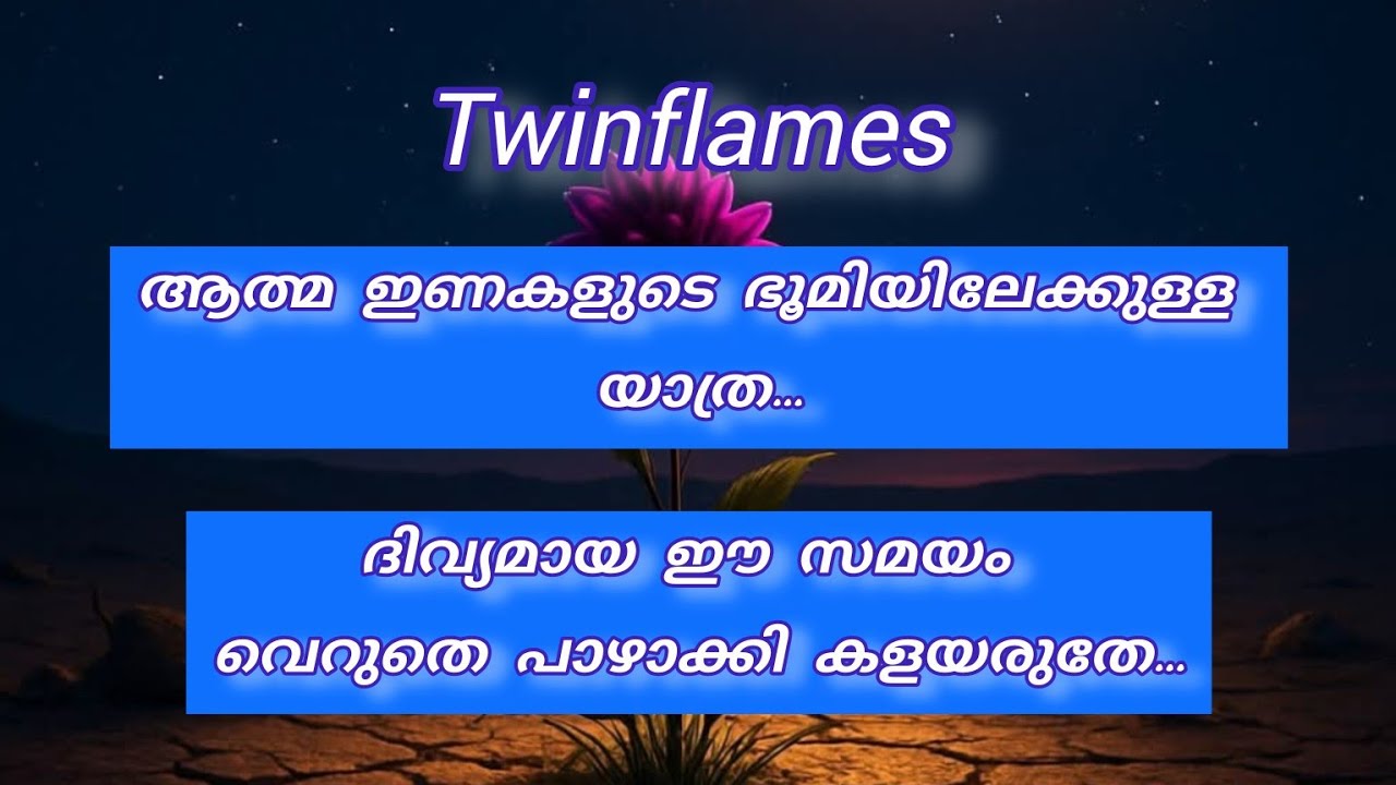 Twinflames ദിവ്യമായ ഈ സമയത്തെ നമ്മൾ  പാഴാക്കി കളയാതിരിക്കുക...