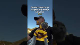 Ortalık Karışacak