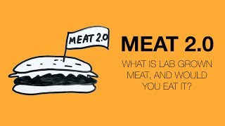 What is lab grown meat, and would you eat it?