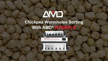 #Chickpea Wormhole Removal Made Easy | AMD® NY(KP)-E AI Sorting Machine