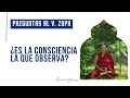 ¿Es la consciencia la que observa? - Preguntas a Venerable Zopa