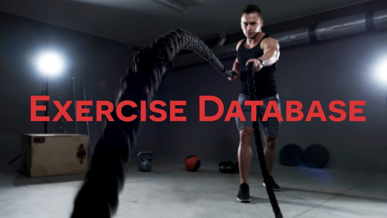 Exercise Database Preview