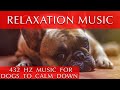 Relaxing Music for Dogs to Calm Down [432 Hz - 12 Hours]