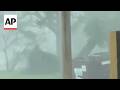 Video shows a tornado uprooting trees in Illinois