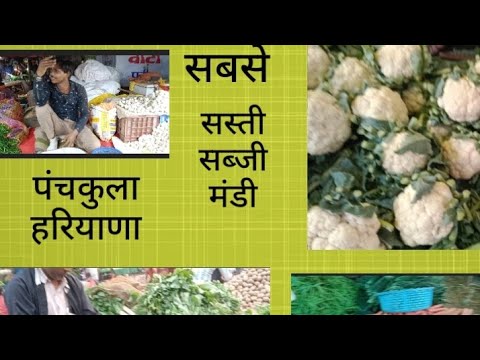 सबसे सस्ती सब्ज़ी मंडी।। Mandi. panchkula sabji mandi.today vegetables price.