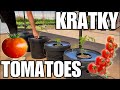Ref:eRtboFrThvo Growing kratky hydroponic tomatoes   || how to set up a kratky system easy!