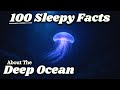 The Most Relaxing Facts About the Deep Ocean to Fall Asleep To