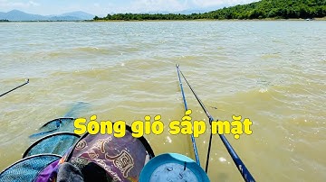 Hôm nay cá TO quá nhưng.. ► Câu Đài Tự Nhiên #31