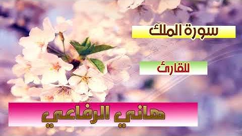 سورة الملك للقارئ هاني الرفاعي