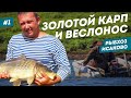 Рыбхоз Исаково | Разведение рыбы как бизнес | Бугульма | #1