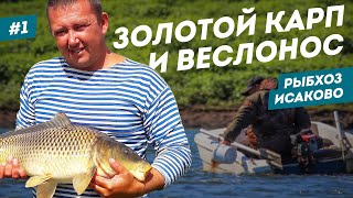 Рыбхоз Исаково | Разведение рыбы как бизнес | Бугульма | #1