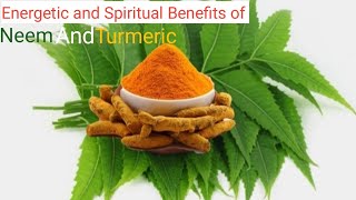 The power of Neem and turmeric | Eat this Most Powerful Herb daily in the morning and see the change