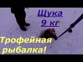 Щука 9 кг, трофейная рыбалка...