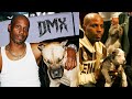 Dmx the loyalty of dogs  interviews musics  why he loved dogs so much