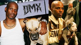 DMX ‘The Loyalty Of Dogs’ | Interviews, Music Videos & Why He Loved Dogs So Much by HUGH AVALANCHE 81,299 views 3 years ago 5 minutes, 41 seconds