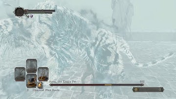 SL1 No rolling/sprinting/blocking/parrying Aava, the King